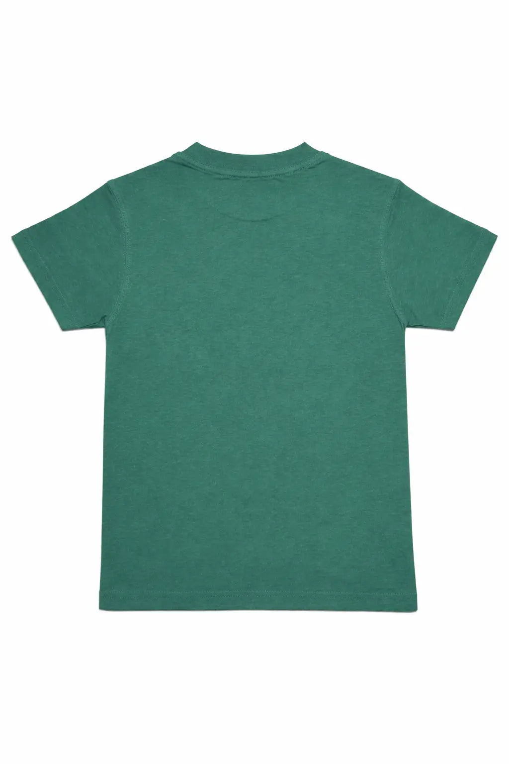 Boys green Lemon Squeezy graphic t-shirt back for kids — MiMo Pakistan